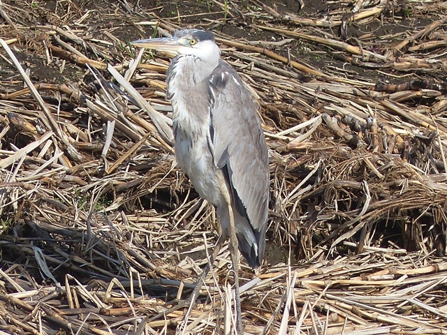 f0357487_22350809.jpg