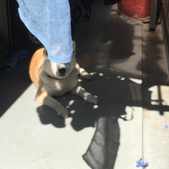 c0123890_20013235.jpeg