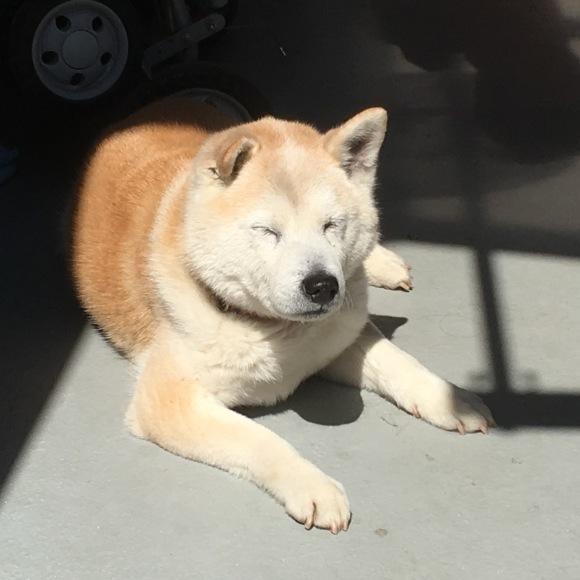 c0123890_20015614.jpeg