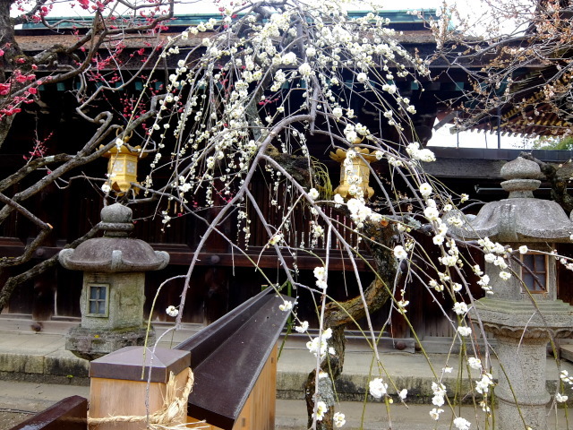 f0100593_08512807.jpg