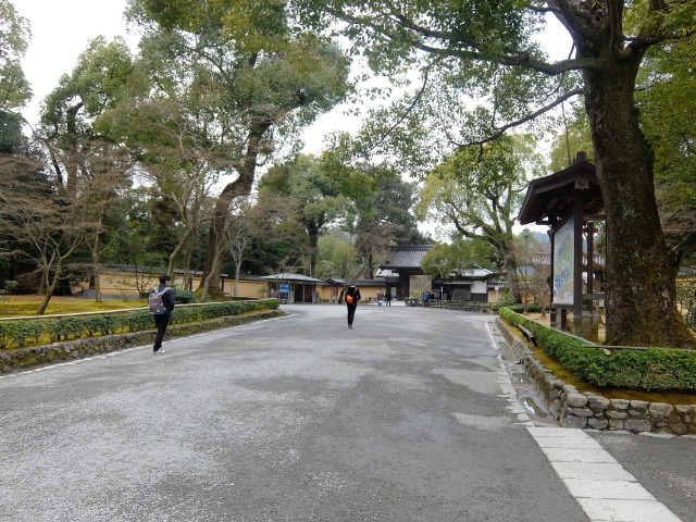 f0100593_11450118.jpg