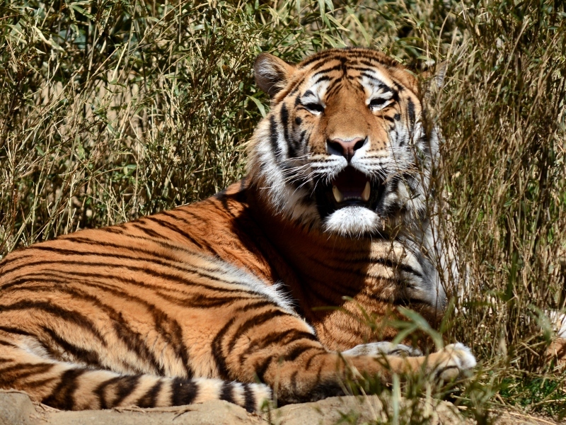 a0164204_02373429.jpg