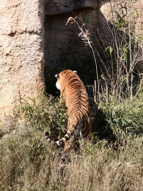 a0164204_02391701.jpg