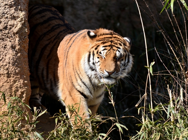 a0164204_02411859.jpg
