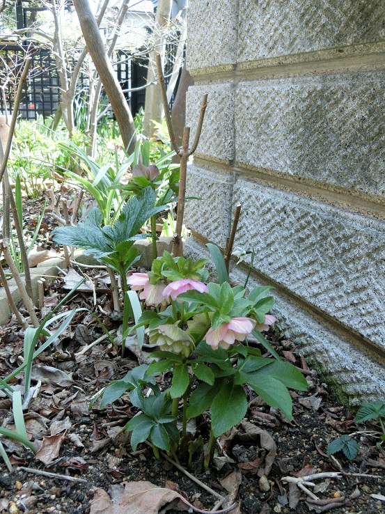 e0234004_2051135.jpg
