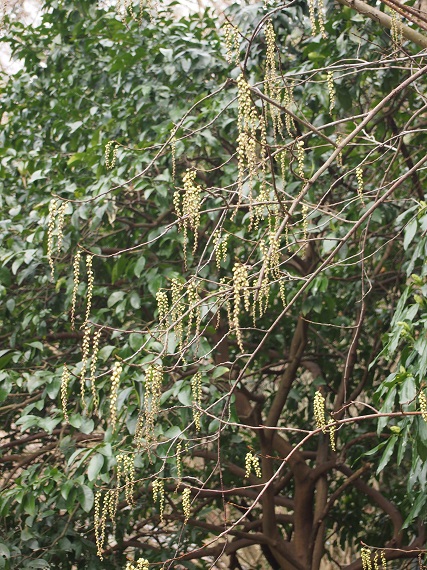 e0245404_21575026.jpg