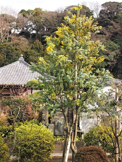 e0245404_2228320.jpg