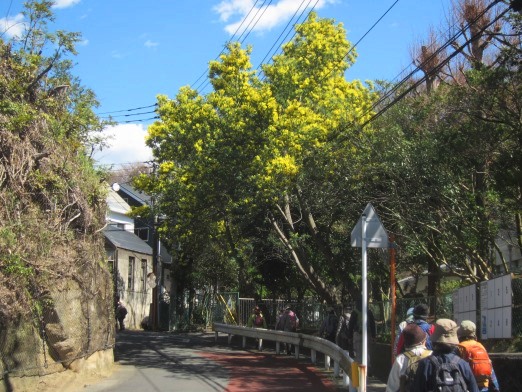 e0245404_22313133.jpg