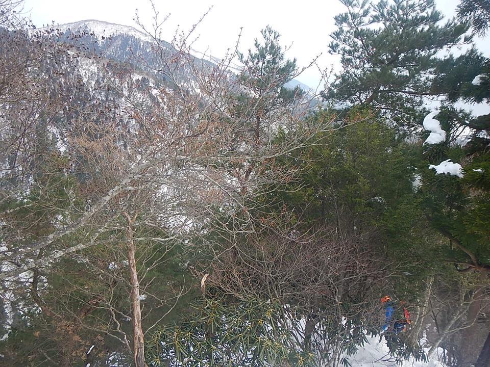 d0296106_14072356.jpg