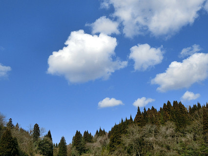 a0345107_20273411.jpg