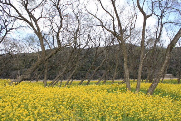 d0237309_21431953.jpg