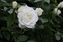 f0325309_08591850.jpg