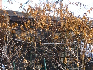 f0325309_09093188.jpg