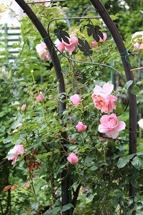f0325309_09142330.jpg