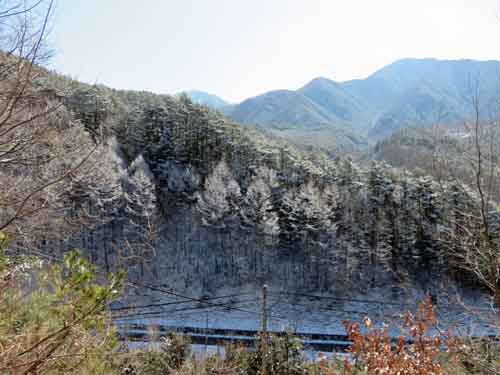 e0001110_8152847.jpg