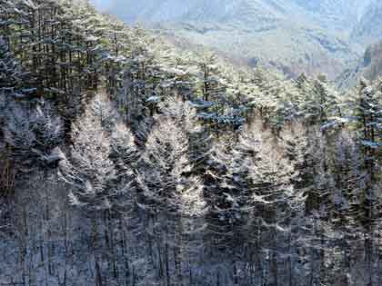 e0001110_8154093.jpg
