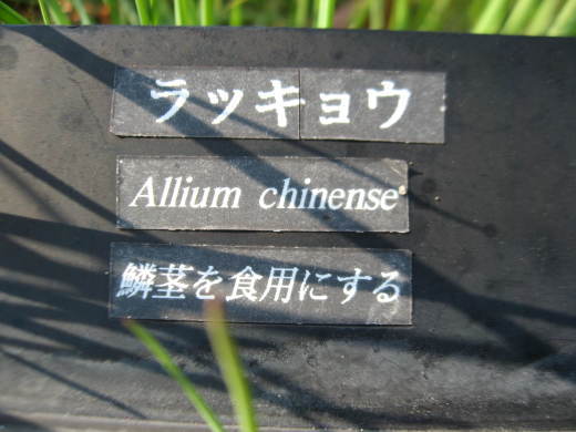 c0062511_22162097.jpg