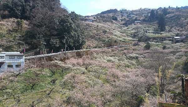 b0326613_22180046.jpg