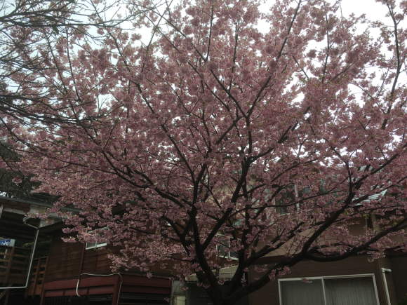 c0210618_08435496.jpg