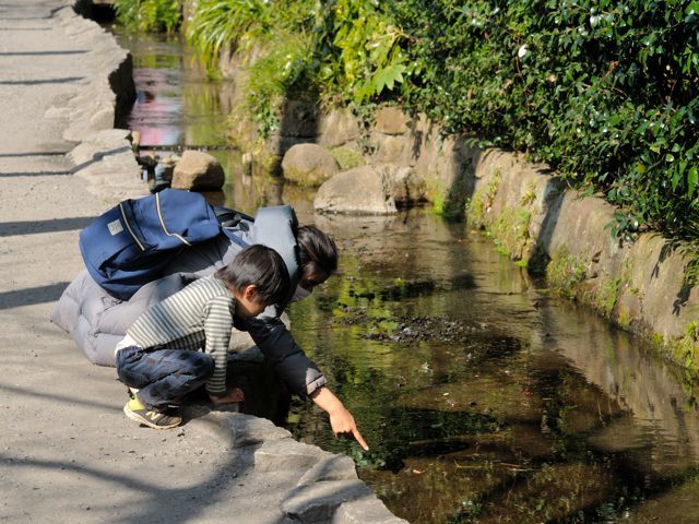 c0047919_10491446.jpg