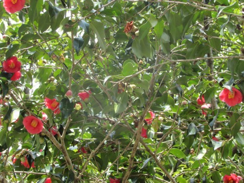 f0139520_09263675.jpg