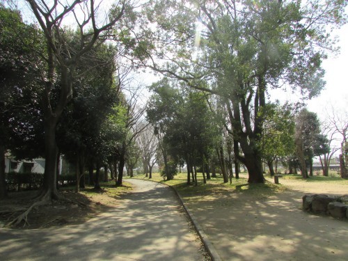 f0139520_09284112.jpg