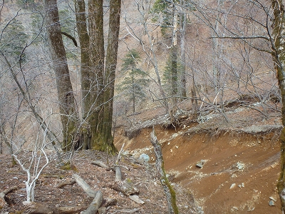f0193521_17232599.jpg