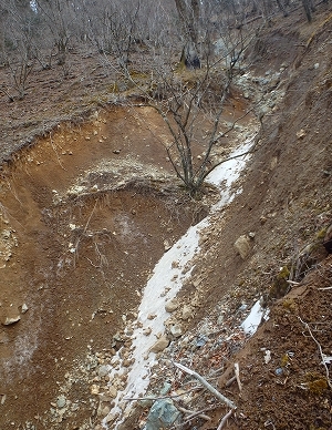f0193521_17282239.jpg