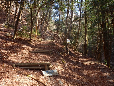 f0193521_174972.jpg