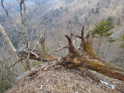 f0193521_18102477.jpg