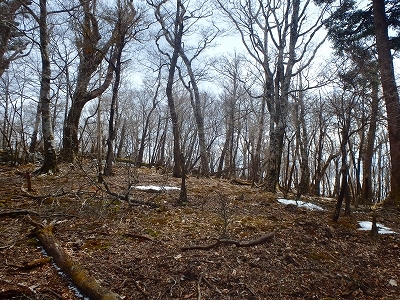 f0193521_18175576.jpg