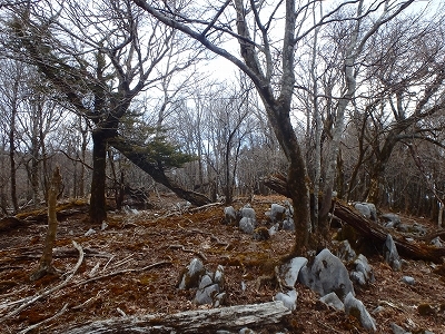 f0193521_18203703.jpg