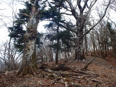 f0193521_19175171.jpg