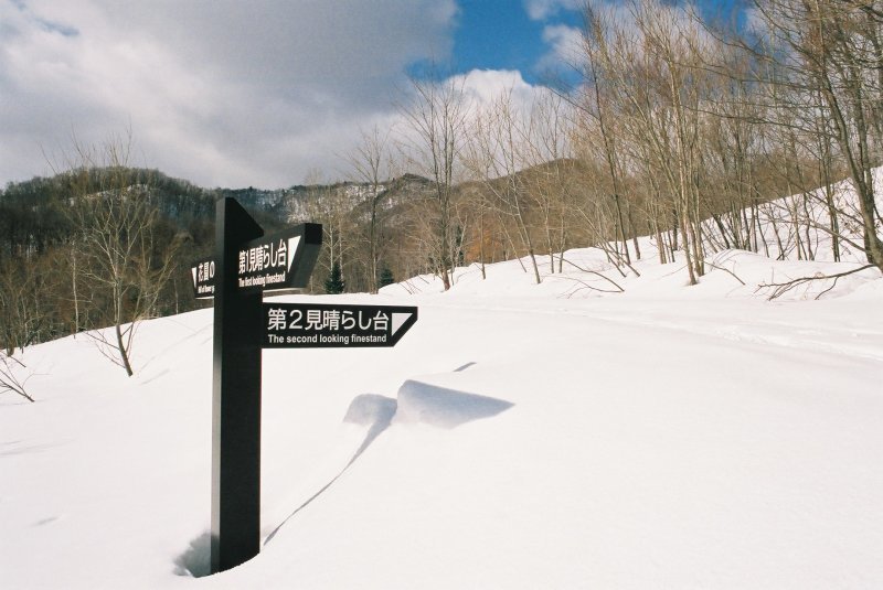 f0362725_17055207.jpg