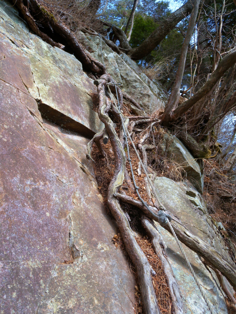 e0272335_851377.jpg