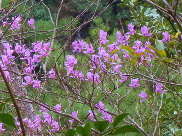 e0272335_9192440.jpg