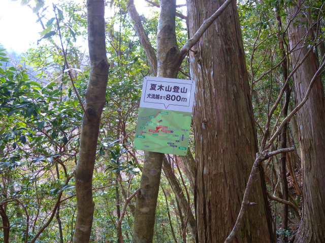 e0272335_92094.jpg