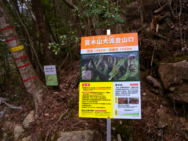 e0272335_9520100.jpg