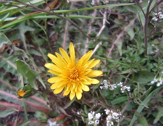 b0177436_1281995.jpg