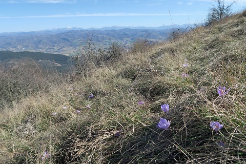 f0234936_0262768.jpg