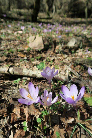 f0234936_0295599.jpg