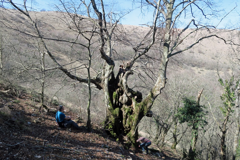 f0234936_0513323.jpg