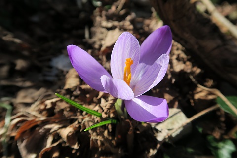 f0234936_142843.jpg