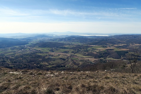 f0234936_1515989.jpg