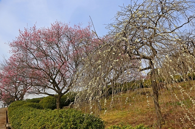 a0242438_20102172.jpg