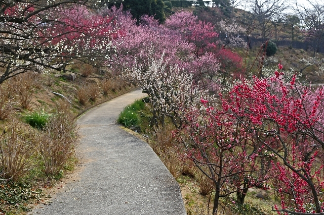 a0242438_20102216.jpg