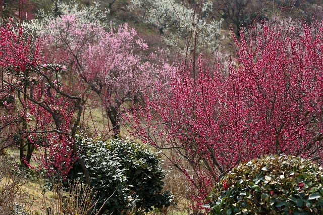 a0242438_20102223.jpg