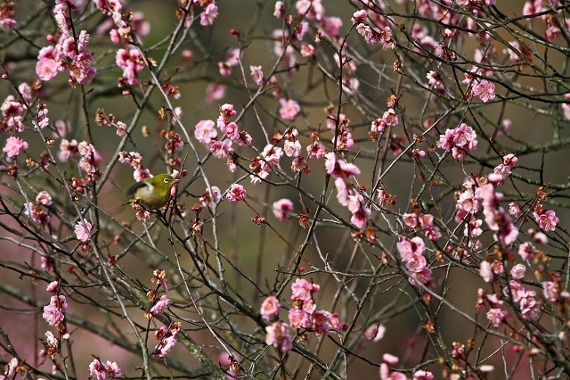 a0242438_20102286.jpg