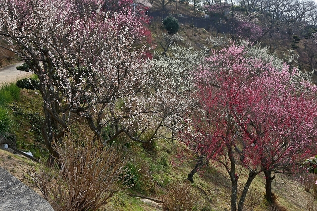 a0242438_20113044.jpg