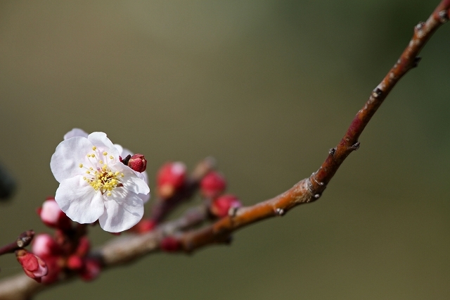 a0242438_20113145.jpg